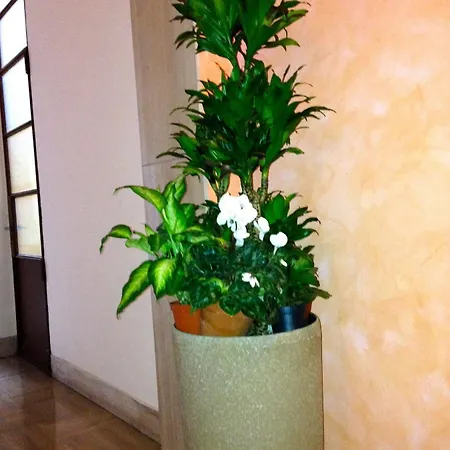 Rigoletto Guest house Verona